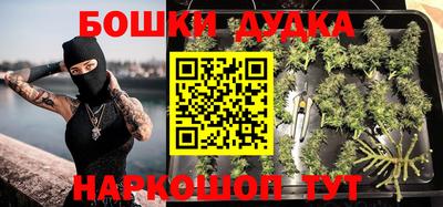 дживик Будённовск