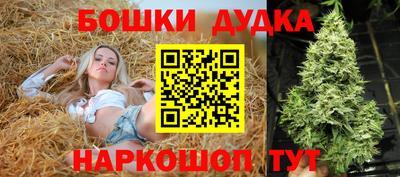 дживик Будённовск