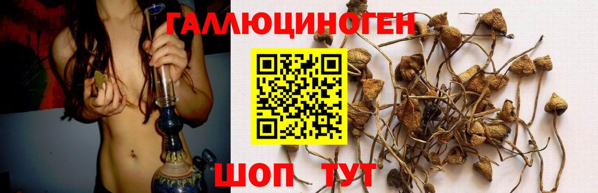 Галлюциногенные грибы GOLDEN TEACHER  Вход с VPN  Псилоцибиновые грибы Cubensis  Алапаевск 